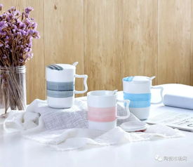 廠家推薦 潮州市楓溪區(qū)思博陶瓷廠