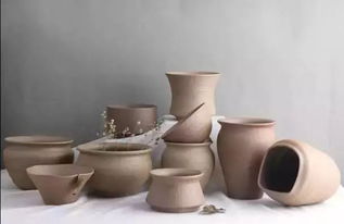 樂活丨養(yǎng)花用什么花盆比較好 你絕對(duì)不知道